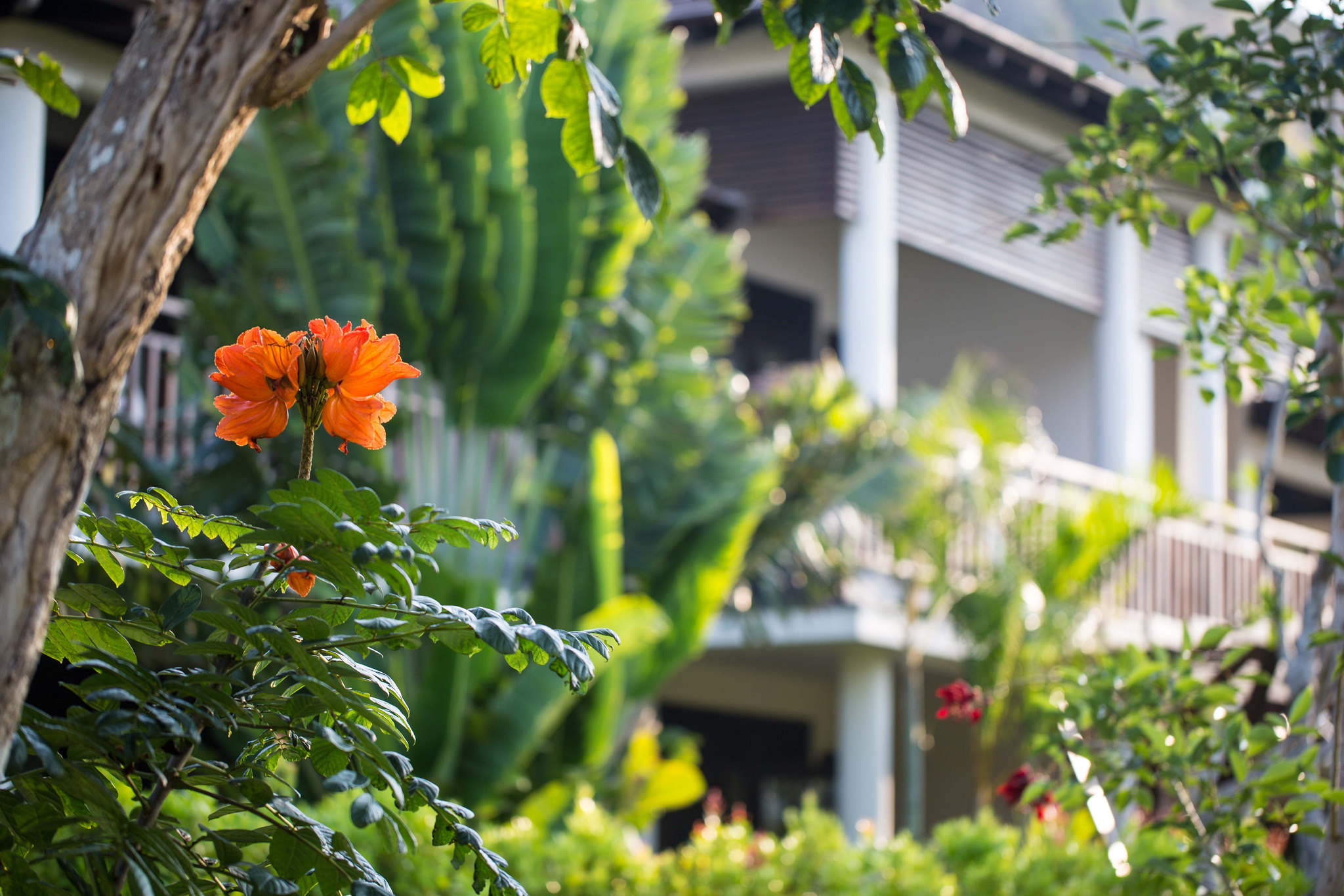 Delexe Villa - Hotel24h.net